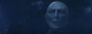 Who plays Voldemort in Harry Potter?